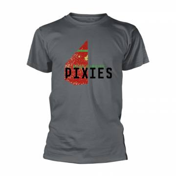 T-shirt Pixies Head Carrier Grey 56664