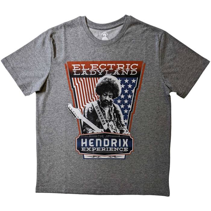 Jimi Hendrix Unisex T-Shirt: Electric Ladyland (Grey) 78732