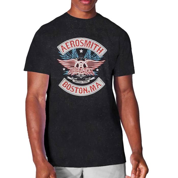 Aerosmith Unisex T-shirt: Boston Pride (Črna) 81553