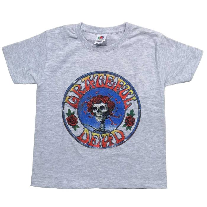 Grateful Dead Kids T-Shirt: Bertha Circle Vintage Wash (Heather Grey) 233539
