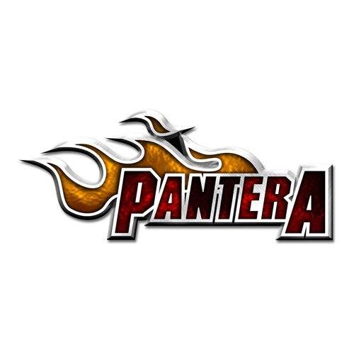 Pantera Flame Logo značka 114371